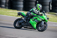 PJ-Motorsport-2019;anglesey-no-limits-trackday;anglesey-photographs;anglesey-trackday-photographs;enduro-digital-images;event-digital-images;eventdigitalimages;no-limits-trackdays;peter-wileman-photography;racing-digital-images;trac-mon;trackday-digital-images;trackday-photos;ty-croes